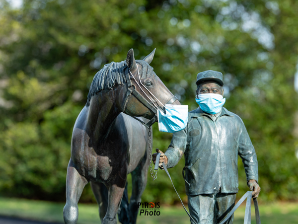 PyroisMedia's tweet photo. The final stallion photo blog of Open House season is up now on #PyroisMedia. Find the link below!
🔗https://t.co/q75eJG3Kkg https://t.co/1pI2cSTI36