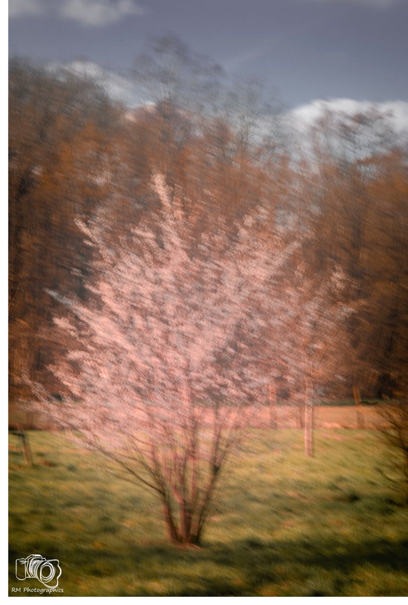 RoelMaat's tweet photo. And in a blur I saw spring coming...
#icm, #icmphotography, #colour, #artphotography https://t.co/HTzIToOZqF