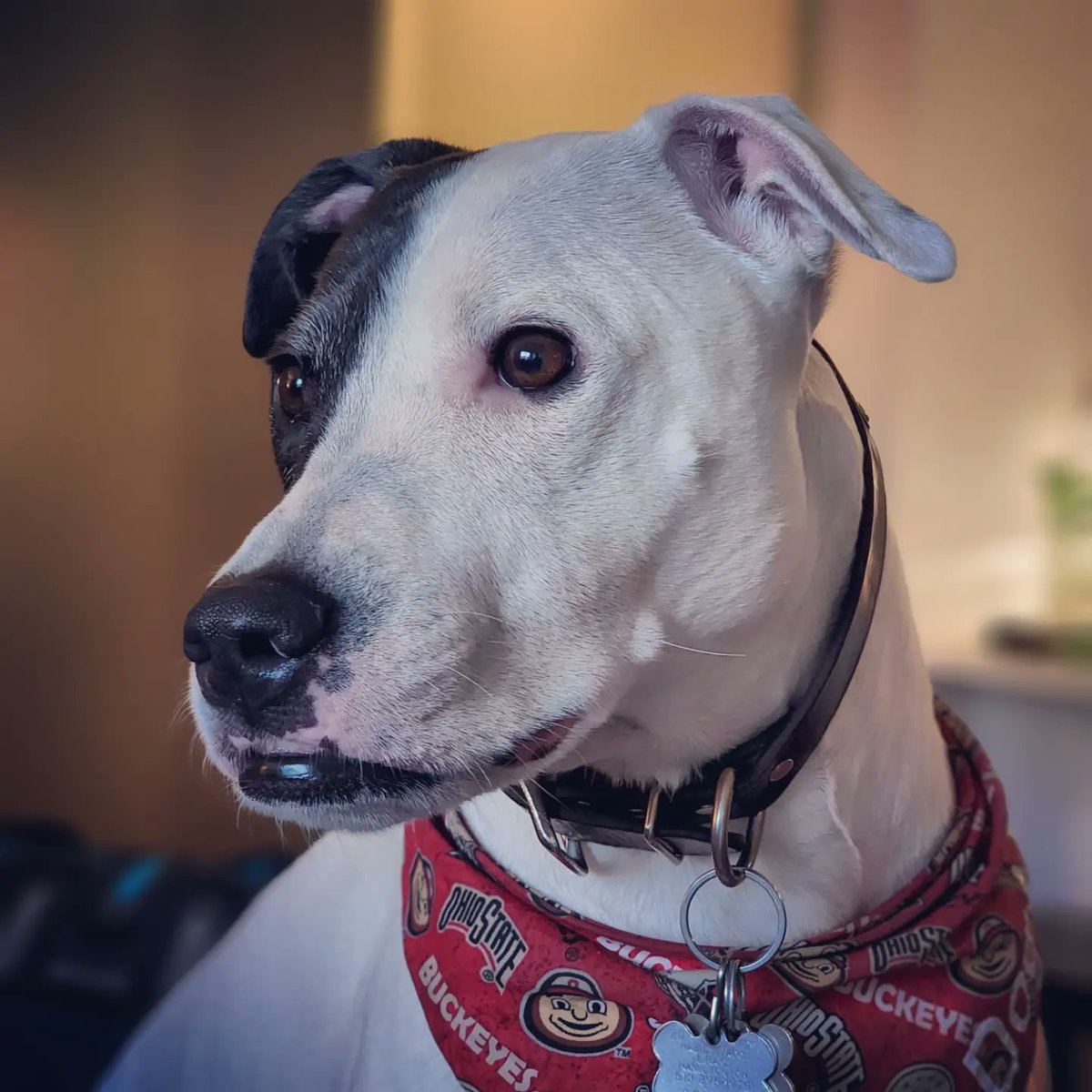 Reece3s's tweet photo. I had a wonderful model over the weekend! Special thank you to Carmen for looking so pretty! https://t.co/6Ui0nQpiFZ
