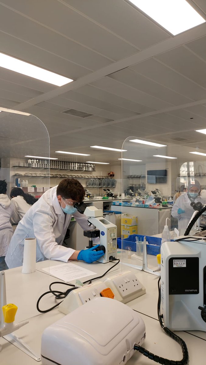 adele759's tweet photo. Yuck what happened to my foods today? How food wrapping affect spoilage? Let s use lactophenol cotton blue for our Food Science practical and identify different type of food spoilage @UoR_LifeScience @NutritionRoe @ClinicalMsc @csaoris @adele759 https://t.co/wHRk5NYad6