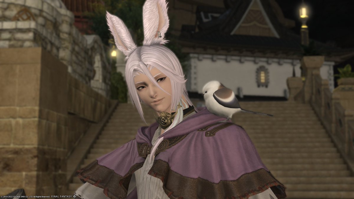 ItsLikeInstinct's tweet photo. Because I felt the strong need to show him-
This is my Hythlo on Light and I love him 💜 T^T
Bonus: Double Hythlo in Elpis~
#Hythlodaeus #LightDataCenter #Twintania #FINALFANTASYXIVOnline #FINALFANTASYXV #FFXIVScreenshots #Viera https://t.co/Zk208iMiYP