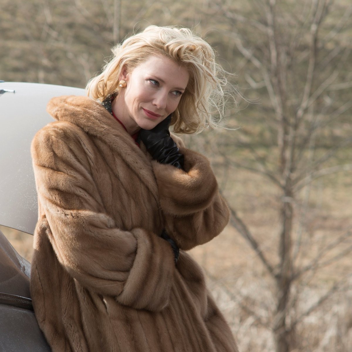 juliescate's tweet photo. the symbolism and deeper meanings in carol (2015) dir. todd haynes, a thread 📷🧤✨ https://t.co/xzwUwWpmnw