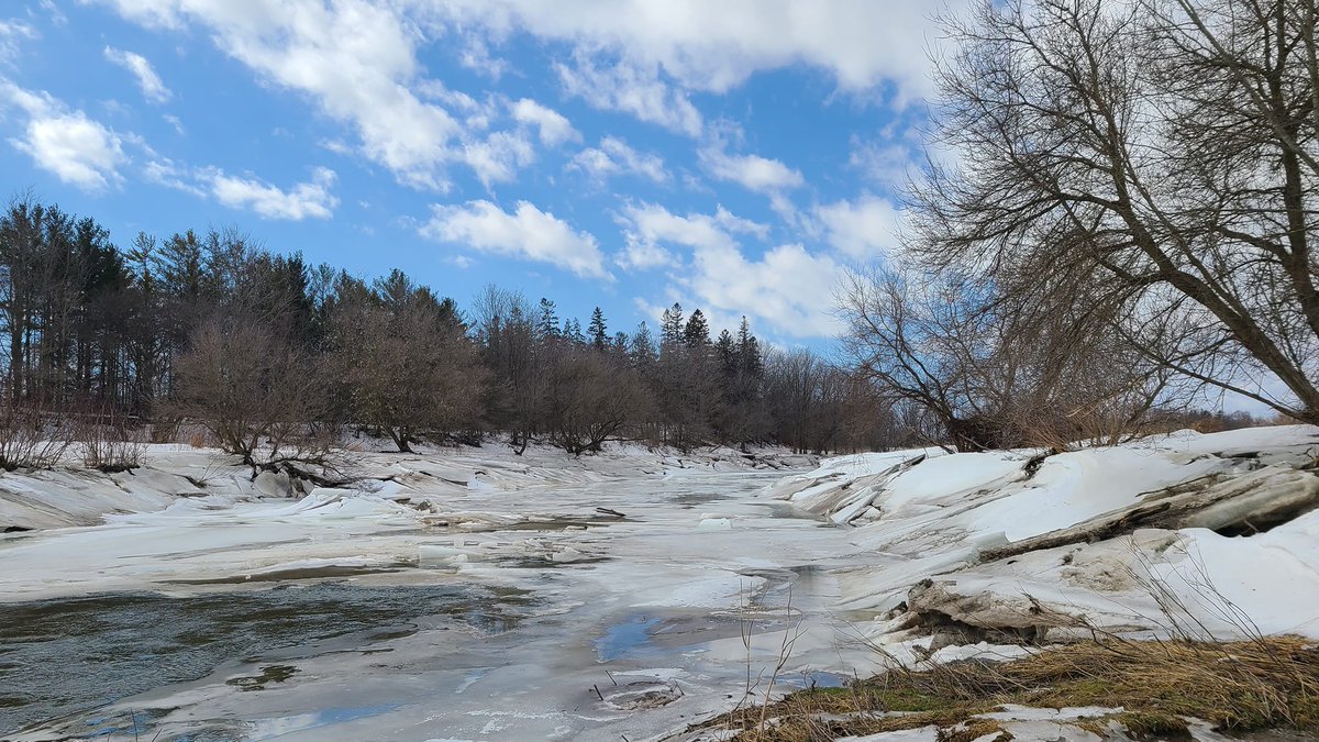 pfenningsfarm's tweet photo. The difference 1 day can make. The sudden flooding is due to an ice jam downstream preventing the #NithRiver from flowing normally. Waterways all over are unpredictable & changes can happen suddenly. PLEASE #StaySafe! Stay clear of waterways & slow down on icy roads. https://t.co/9Qxo3VRAkf