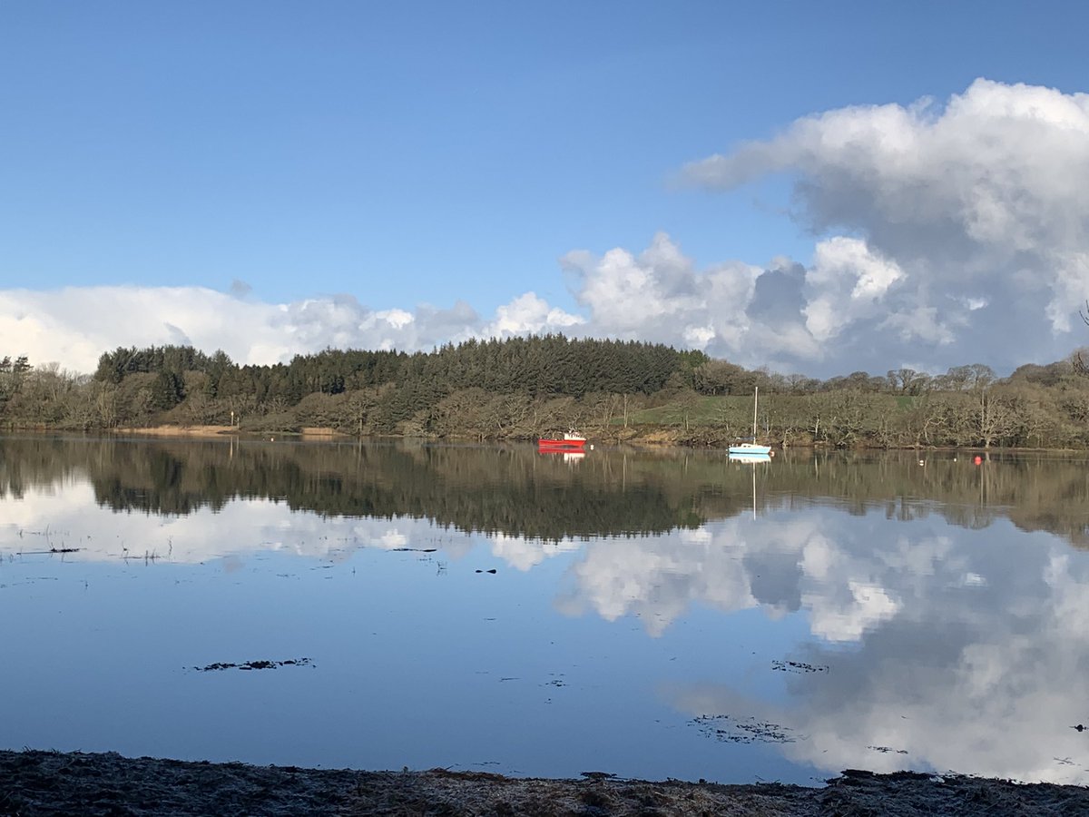 Havenboatfish's tweet photo. Another stunning day on the fjord of West Wales. #cleddau #fjord #sightseeing #fishing #boatlife #milfordhaven #neyland #neylandyachthaven #onthemoorings #westisbest #familyfun #topdaysout https://t.co/brr6xyZQ1j