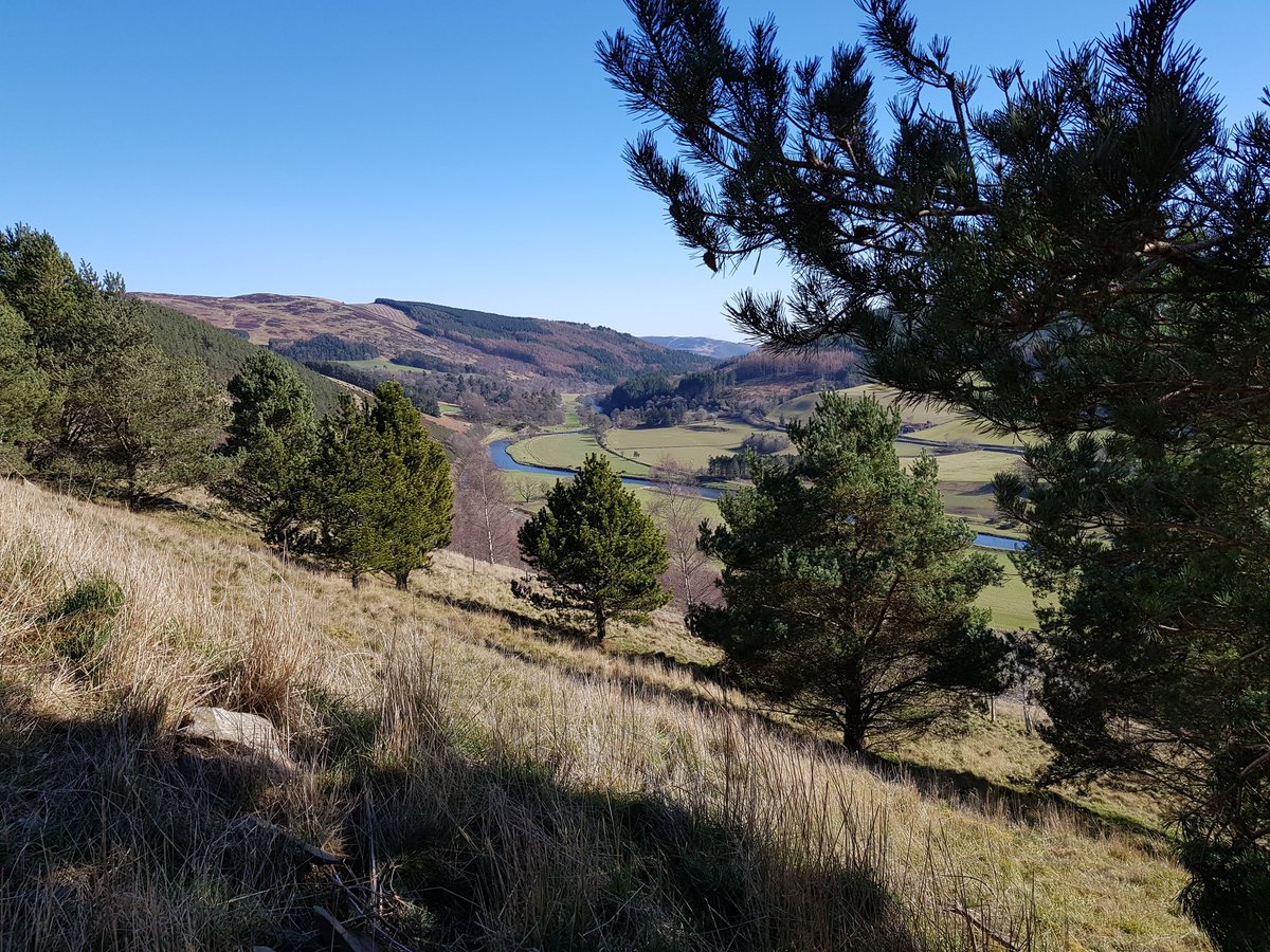 CosaigInners's tweet photo. Two days,  two fabulous walks on opposite sides of the valley #GoTweedValley https://t.co/6Yl9YNWN1y