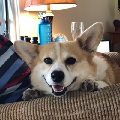 MLCondike tweet media