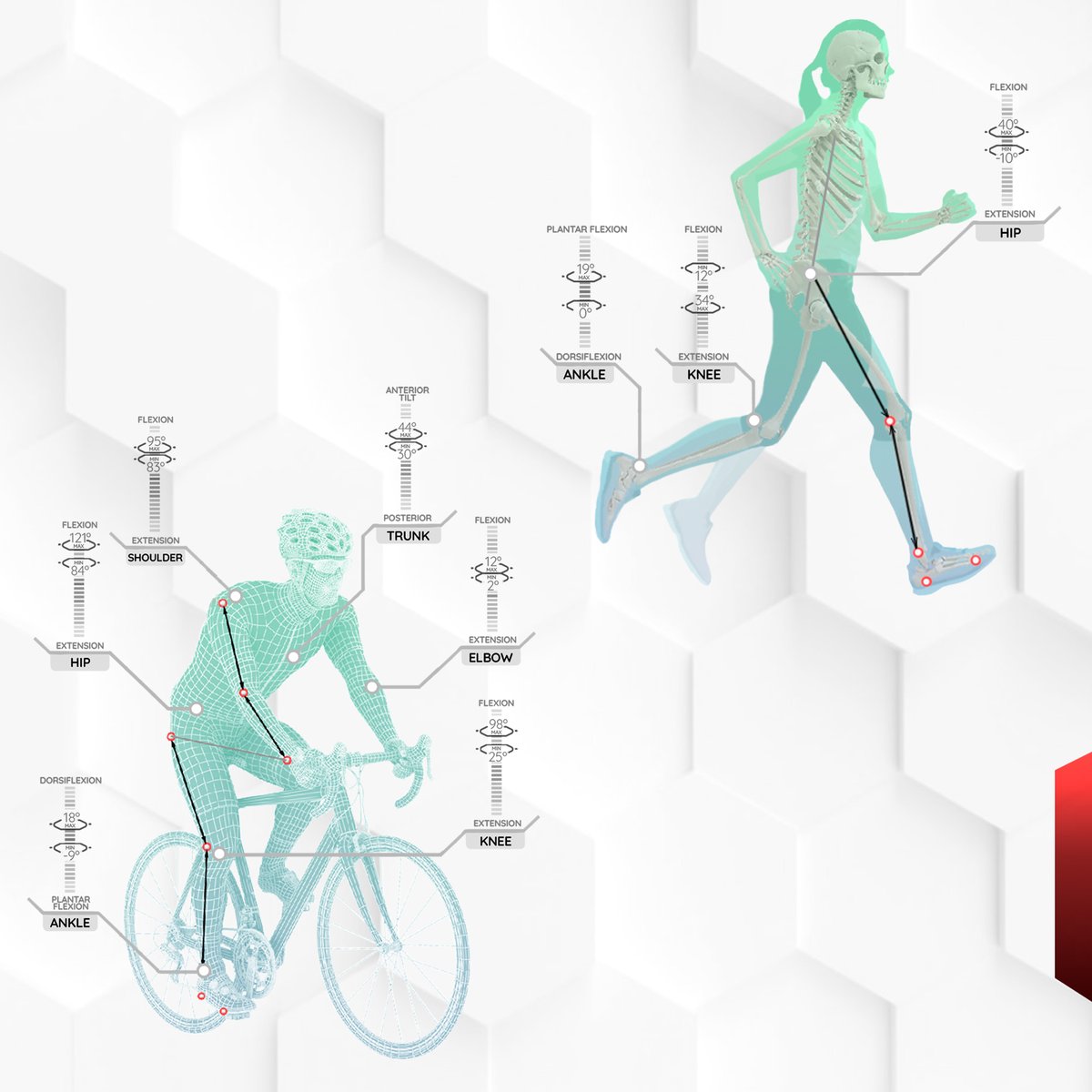 STTSystems's tweet photo. 🔴 As you know 2DMA updates are coming soon!! Here another sneak peek. 🔴 🏃🚴
#2DMA #gait #running #cycling #bikefit #motioncapture #mocap #motionanalysis #smartbiomechanics #bikeanalysis #runninganalysis #lifesciences #stt #videoanalysis https://t.co/Edx62HiZRw