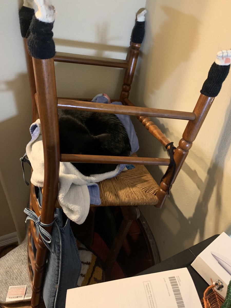 HazelCane's tweet photo. Da hoomin has given me this ramshackle apparatus -- a chair on another chair -- for my high-up snuggle space. It's cozy but I may have to call my union rep - on safety grounds #catsoftwitter #blackcats #cattorney #catalanche https://t.co/0Jd2z8LrNV