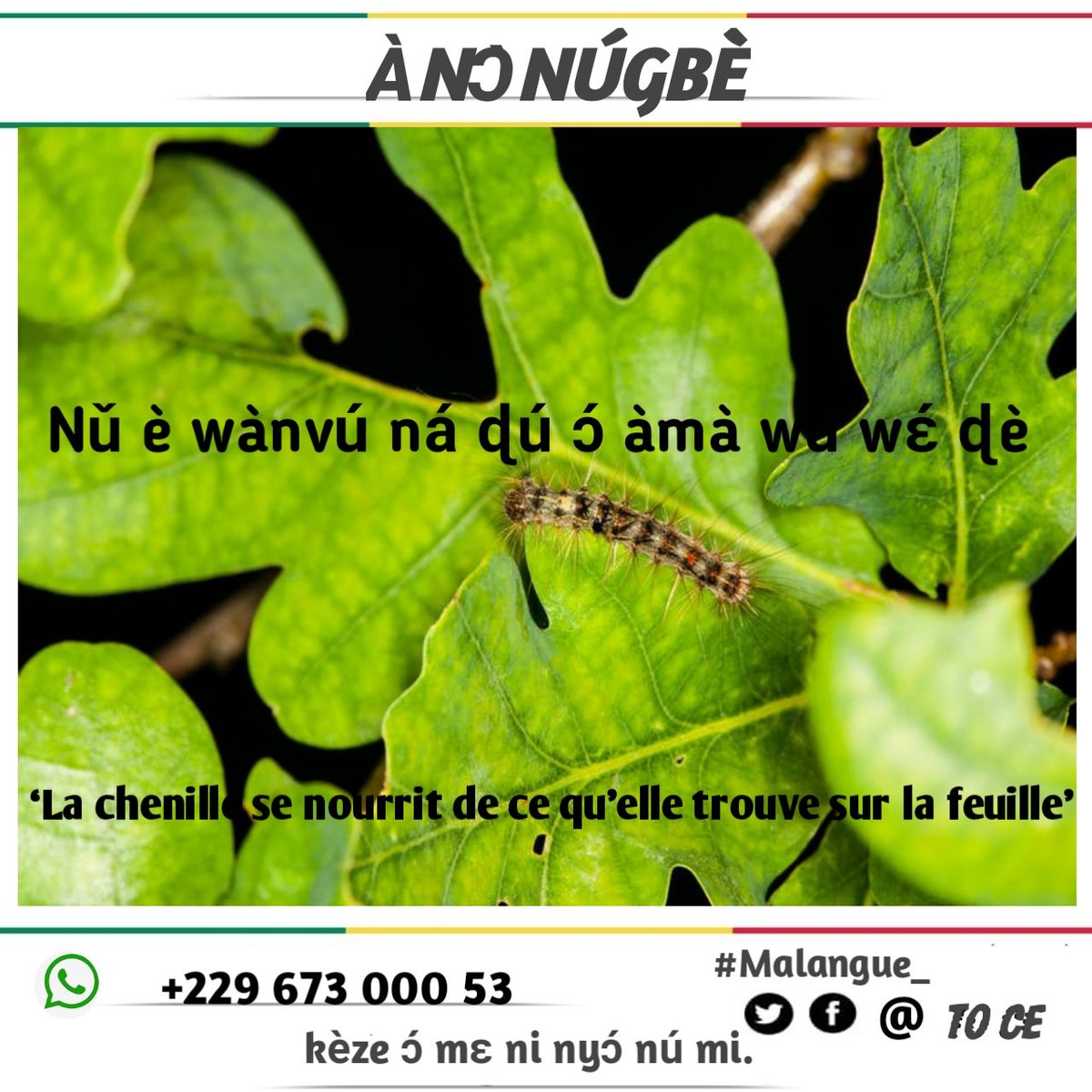 Adikpeto3's tweet photo. Fière d'être du Bénin https://t.co/XsNBWN0xFZ