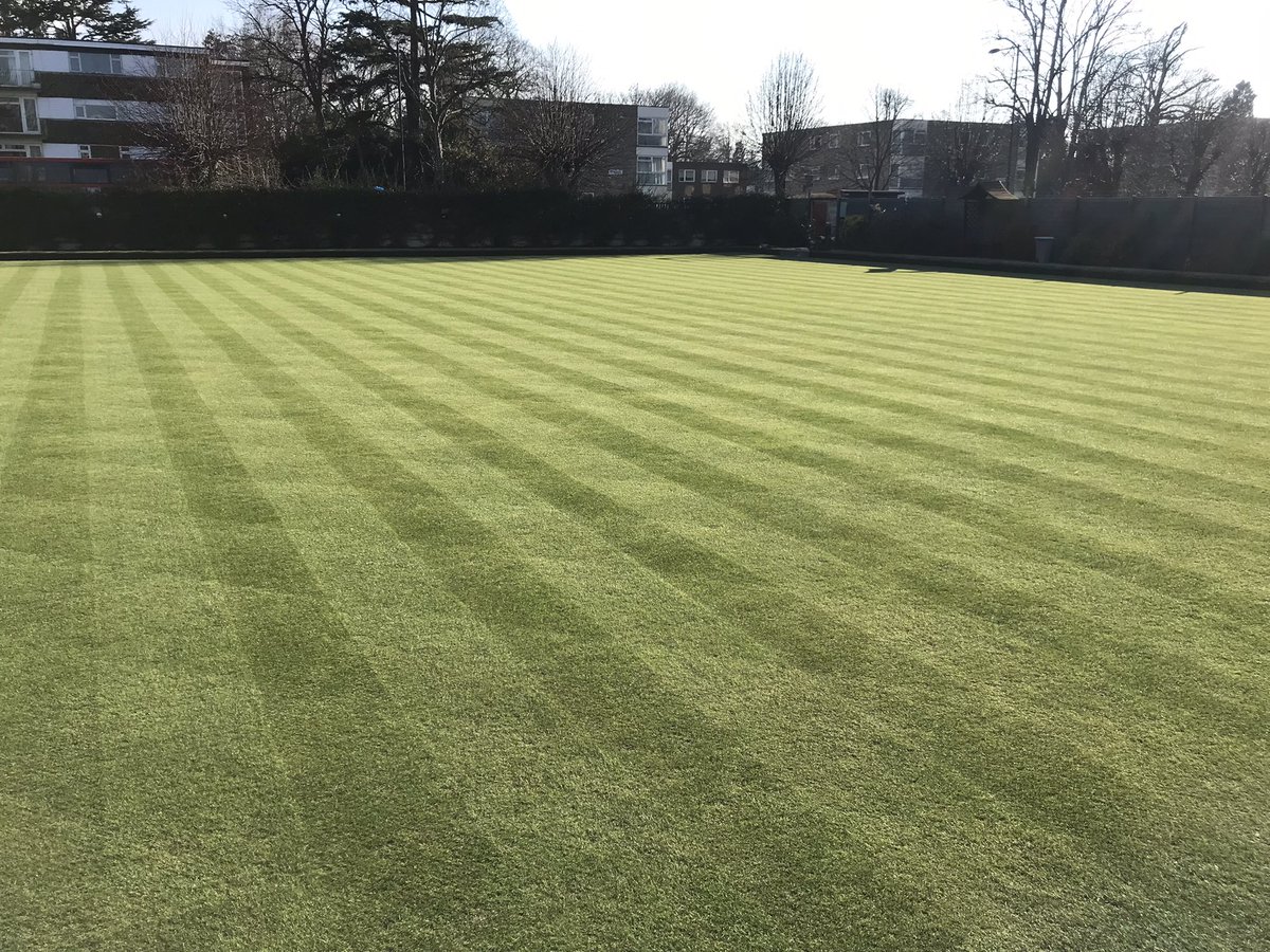 swspencer1's tweet photo. Spring renovations in full swing. Double light scarify followed by a power brush and cut @8mm. Five bags of @rigbytaylor 3-0-0-7fe lawn sand applied. https://t.co/dCQUxXG1Zu