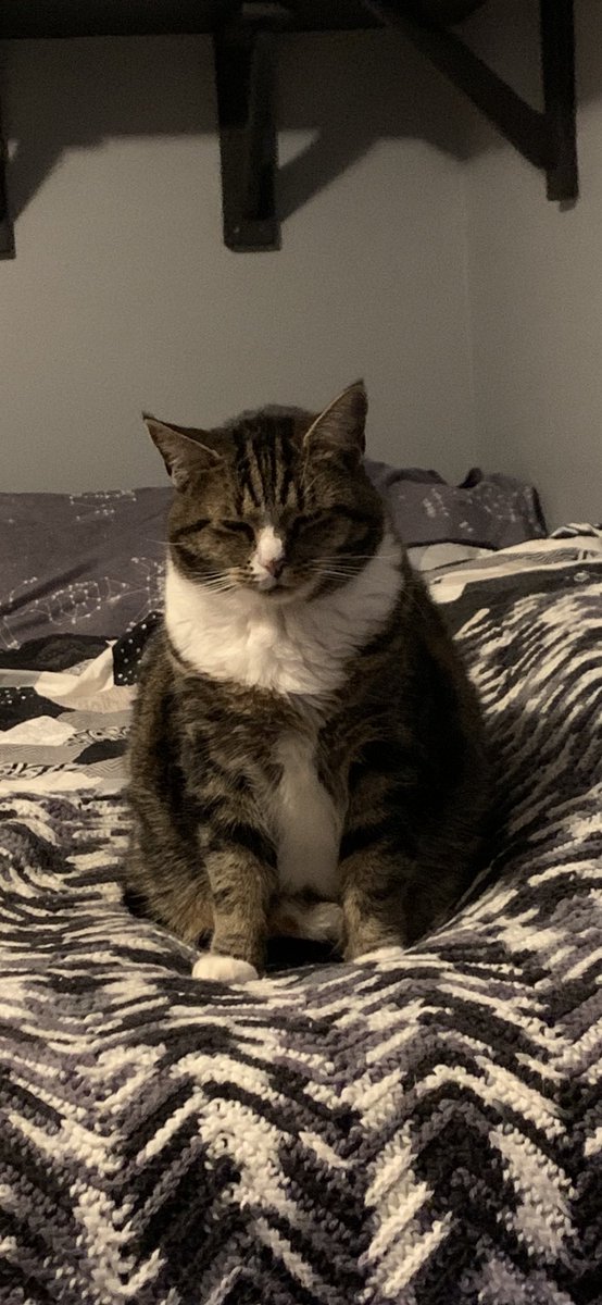 HannahBruno7's tweet photo. I would actually commit a murder to see Loaf rn. I mean just look at her. https://t.co/pQBRTsdRtT