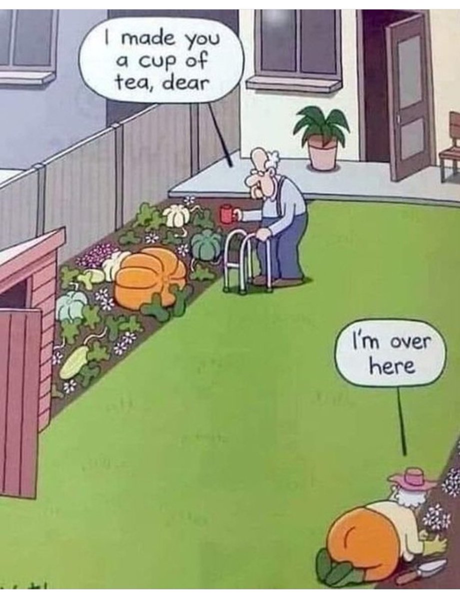 Halloween on jo ovela...