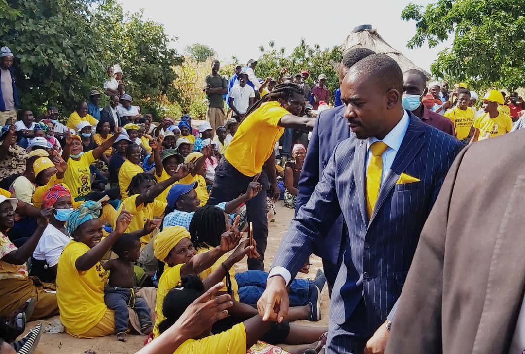 PMangezi's tweet photo. Let's vaccinate ourselves from ZANU-PF.

First jab: #RegisterToVote
Second jab: #TurnUpToVote
Booster shot: #DefendTheVote

We will achieve herd immunity in 2023. https://t.co/21Q4ibV8be