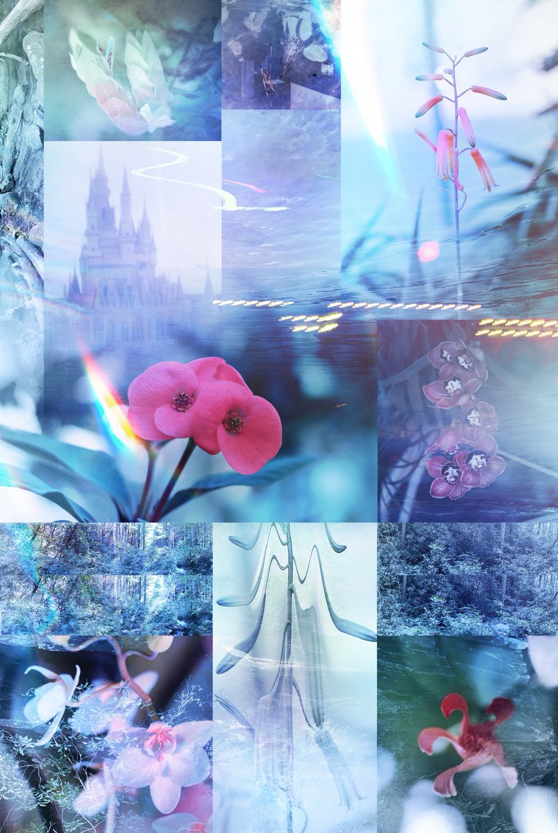 The secret garden 🌺🌸🌼

Collab with amazing @pemi_em 💜

3 tez
15 ed

#CleanNFT 

Link below 👇