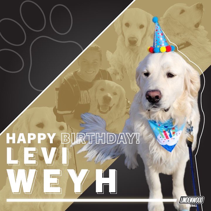 Lindenwood Softball tweet media