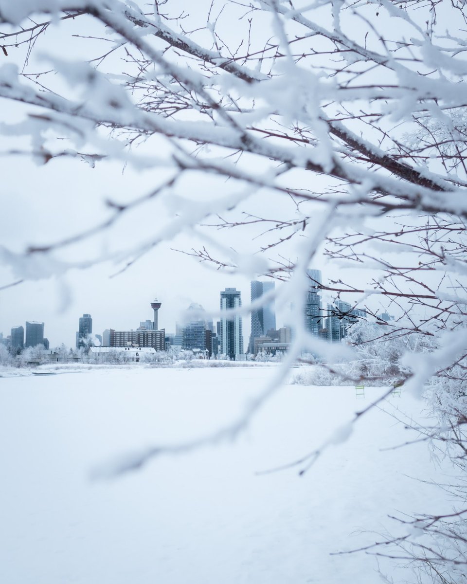 Calgary in the frost 

#ShareYourWeather #Alberta #photography #PhotoOfTheDay #photographylovers