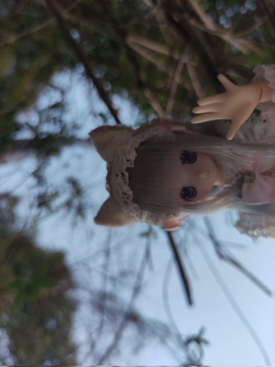 Rusty03126269's tweet photo. #azone #chiika Are you ok?(・w・) https://t.co/eWSV30E1Kt