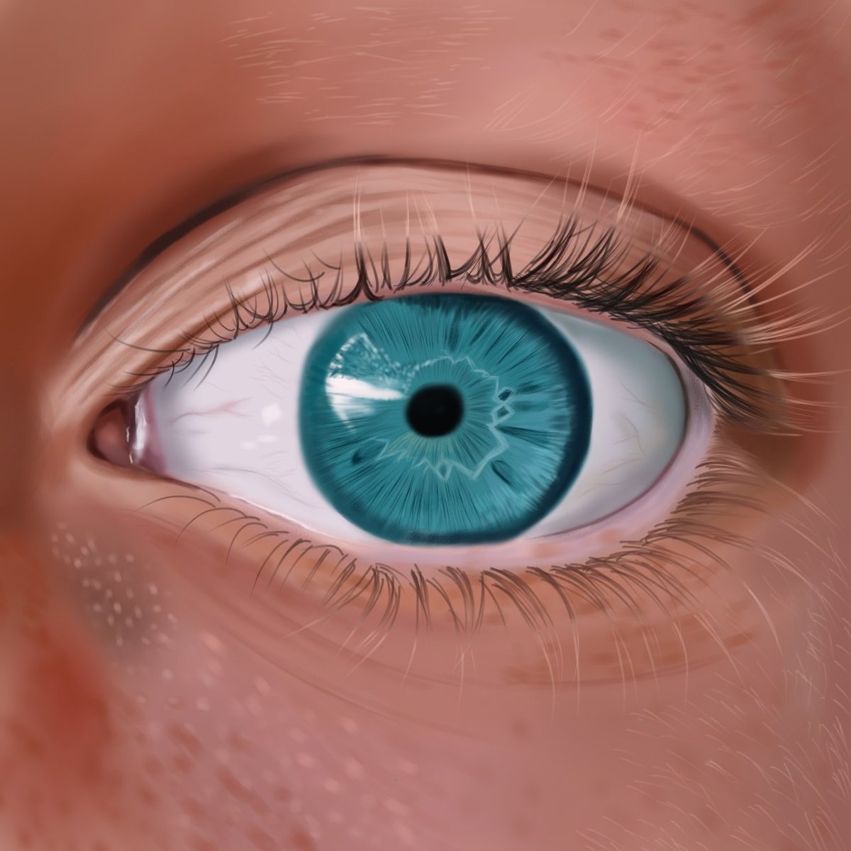 ReyDigitalart's tweet photo. 👀

#digitalart #DigitalArtist #ArtistOnTwitter #Artists #drawing #portrait #ibispaint #digitalisation https://t.co/9iz2U5uFPR