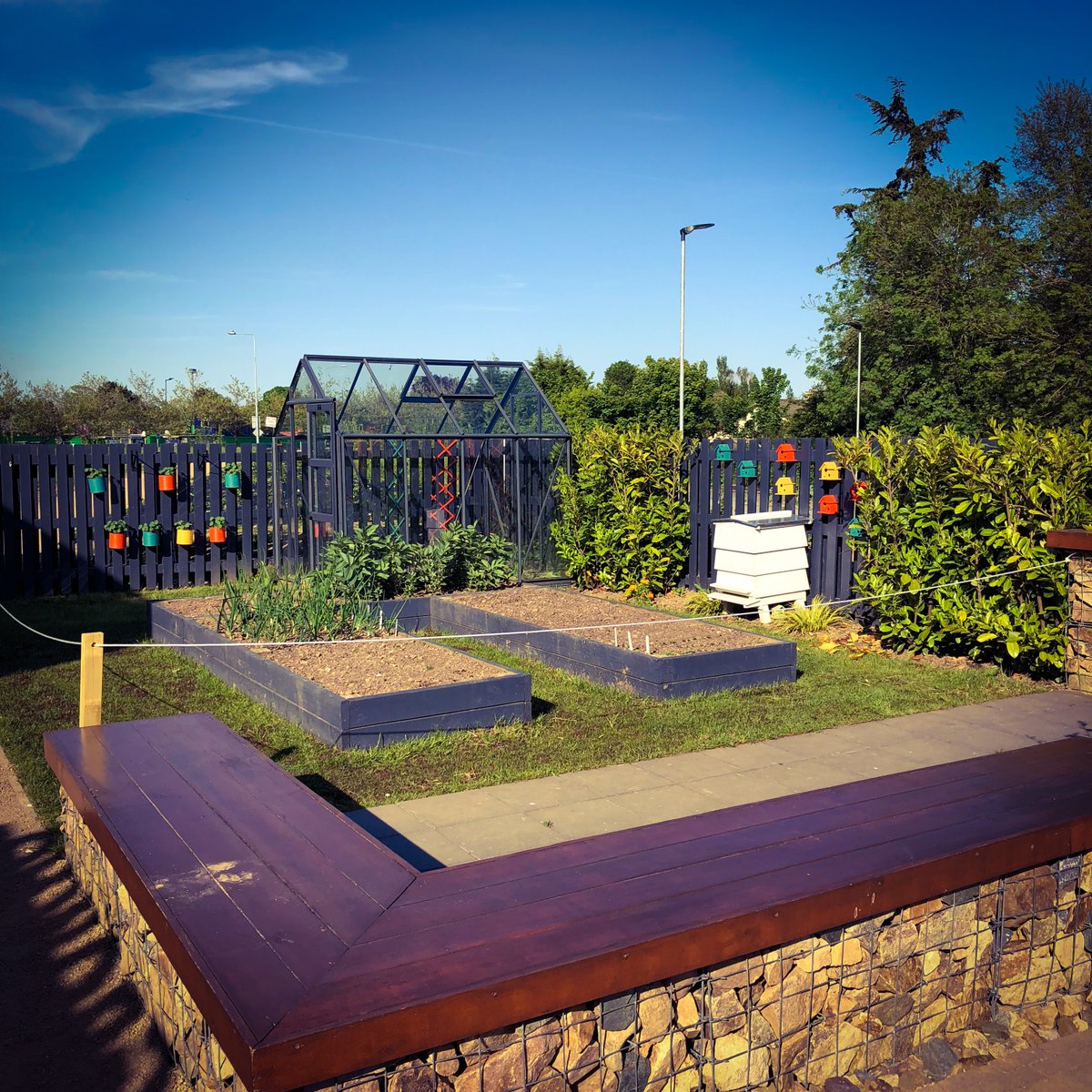 giyireland's tweet photo. Now is the perfect time to get #vegetablebeds assembled!

🌱 The ideal bed width is 42 inches, this suits the spacing for most veg, but is also narrow enough that you can access the centre from both sides
🌱 The bed can be as long as space allows, but leave room for paths!

#GIY https://t.co/fQJ7MxNRor