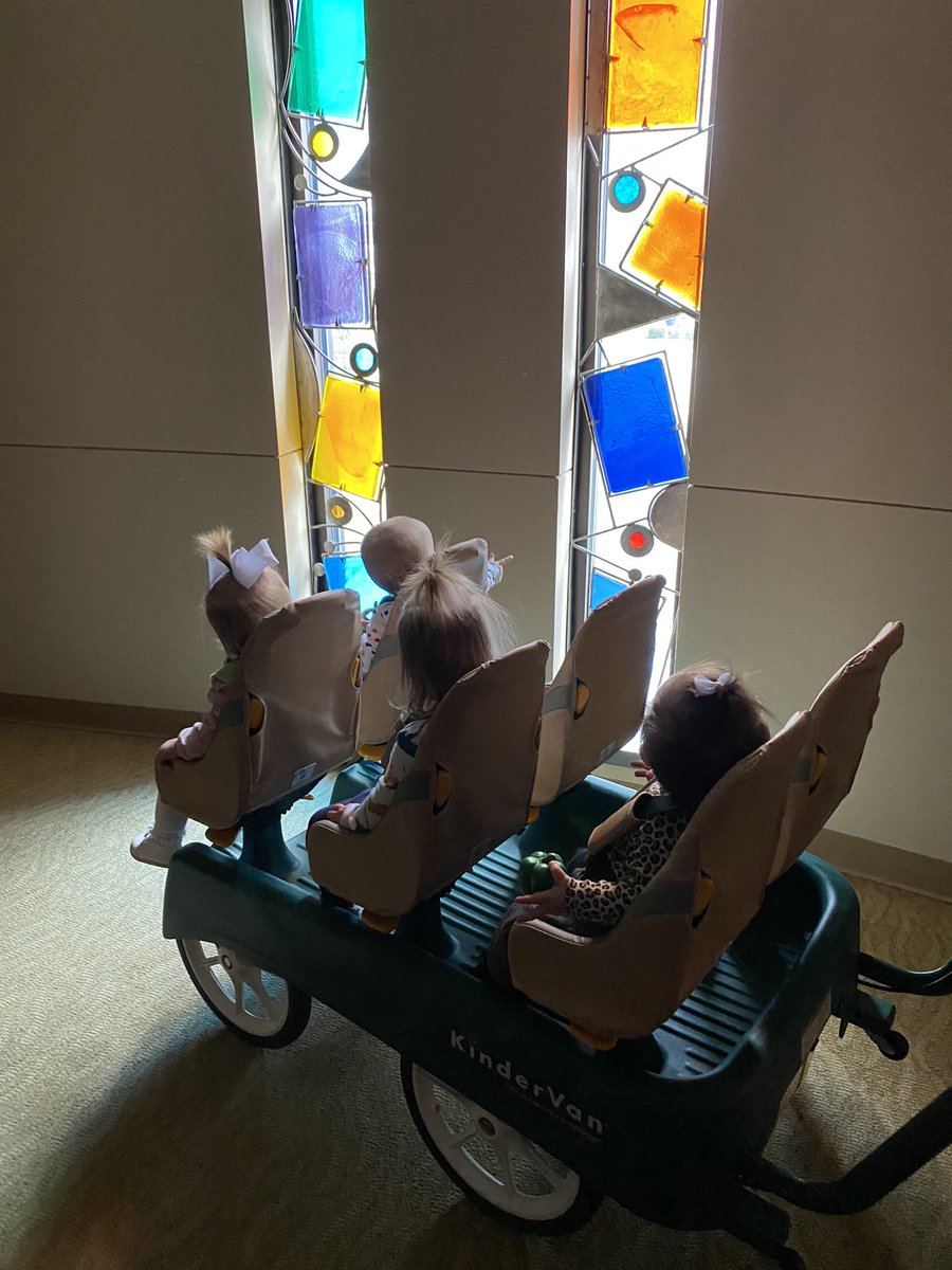 Emily Wieland tweet media