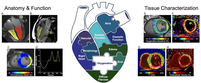 Circ: Heart Failure tweet media