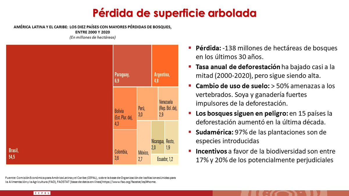 .<a href="/aliciabarcena/">Alicia Bárcena</a>, Secretaria Ejecutiva #CEPAL, en #ForoALC2030: #AméricaLatina y el #Caribe ha perdido 138 millones de hectáreas de bosques en los últimos 30 años. En Sudamérica, 97% de las plantaciones son de especies introducidas. live.cepal.org