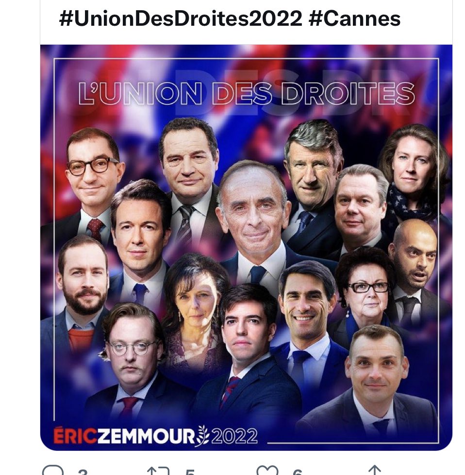 NellyCaminade's tweet photo. @Julianuste @mpf74 @ZemmourEric @Zemmour #uniondesdroites @lePoudré #leReste de l échiquier https://t.co/1bHoFQdNJr