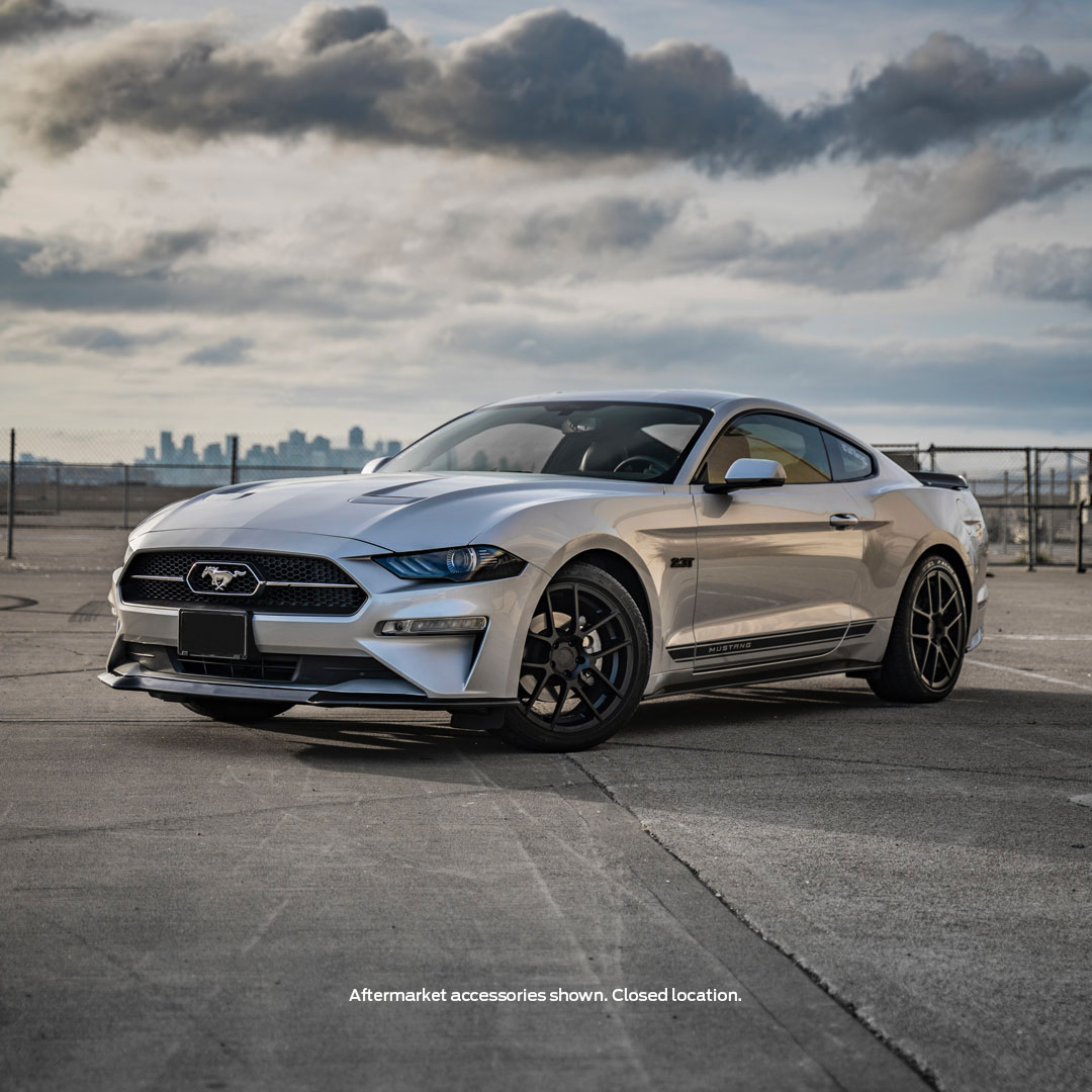 Your daily dose of dopamine.​

🚘: Christina S.​
📸: Matt S.​

#Ford #FordMustang