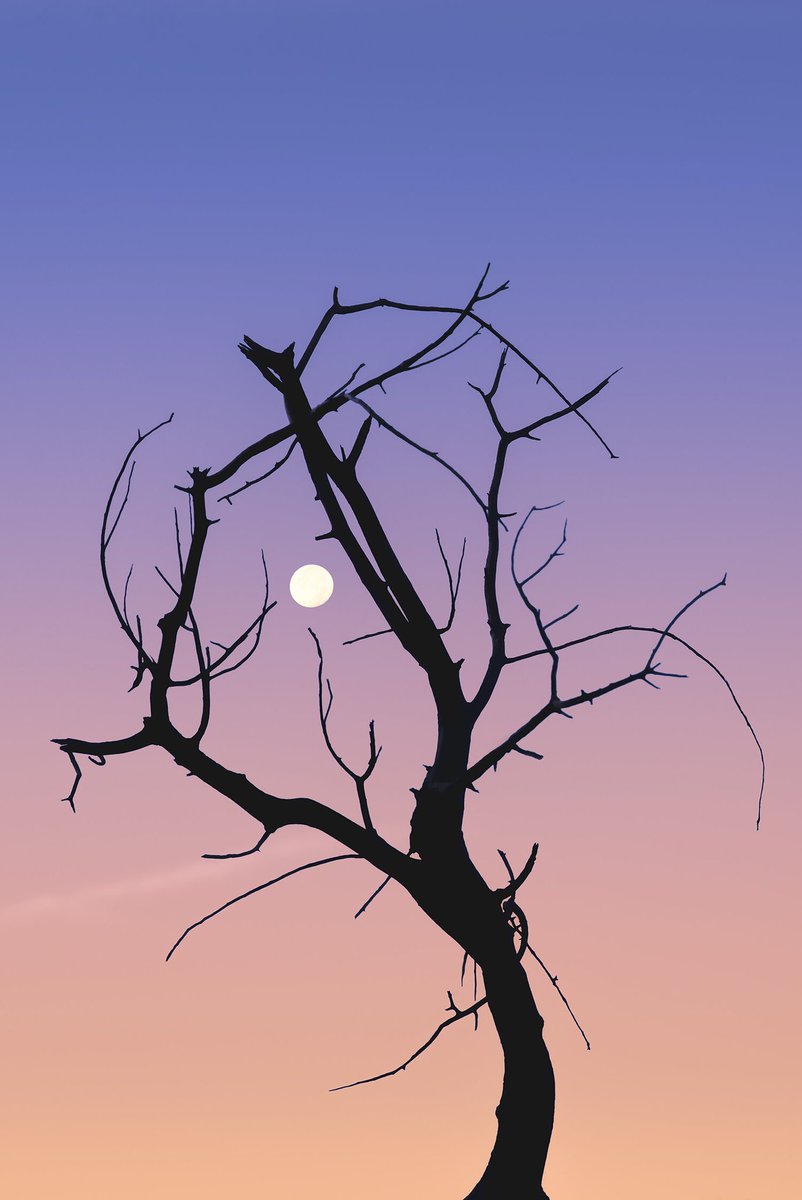 Gm

To the sun and moon lovers 

☀️ 🌝