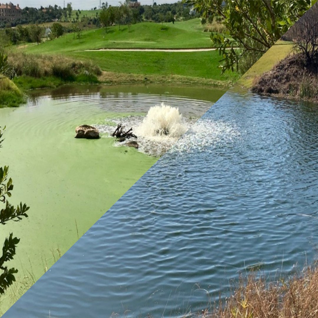 landscapeplus's tweet photo. 🤔 Looking to clear your lake or pond? Why not check out Otterbine!

💧 Aeration provides a multitude of benefits to a lake
or pond. The primary benefit of any aeration system
is to add dissolved oxygen to the water. https://t.co/IfEF3Lkivy