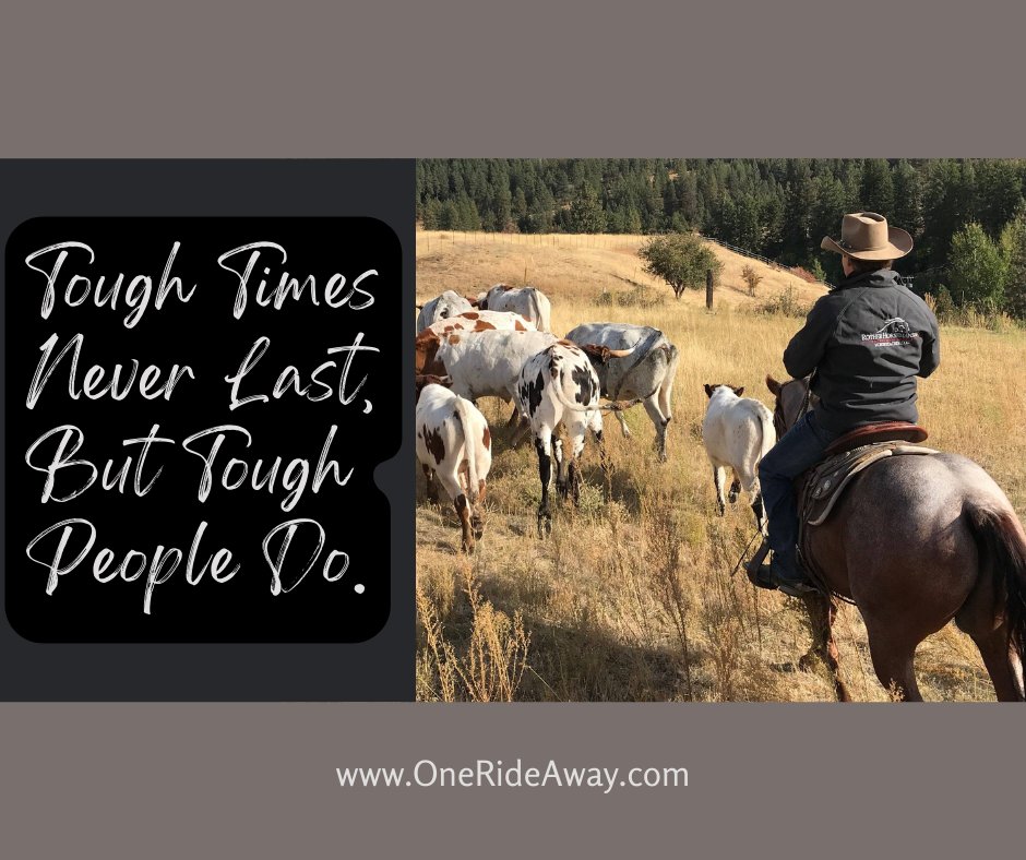 SteveRother's tweet photo. Motivational Monday
"Tough Times Never Last, But Tough People Do."

The One Ride Away 30-Day Challenge begins this Saturday!
https://t.co/P18yalGuC7
#MotivationalMonday #ToughTimes #ToughPeople https://t.co/Db7ZxdpYrK