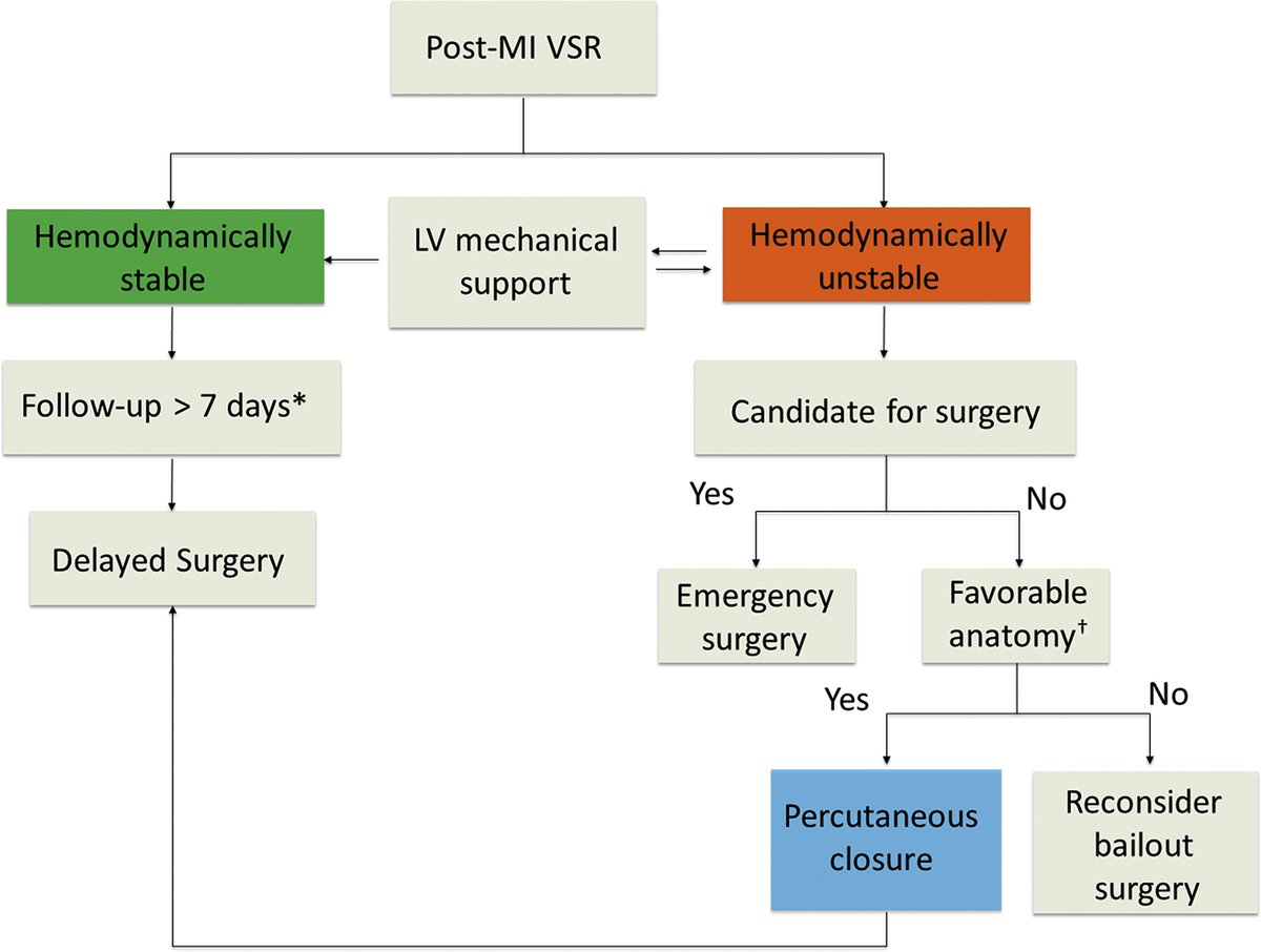 JACCJournals's tweet photo. #JACCCaseReports #WednesdayAnswer: Delayed surgery. Weakening of the surrounding infarcted myocardium creates “secondary septal defects” that hinders the late success of the VSR percutaneous closure procedure. Surgical repair is the gold standard of care. https://t.co/0WslBhH0LG https://t.co/ftwIvGdpQI
