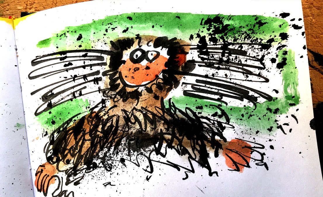 marshallcartoon's tweet photo. For Marmoset Monday #marmonday as devised by @Gilliganista 🐒 https://t.co/k4pbI1M7F9