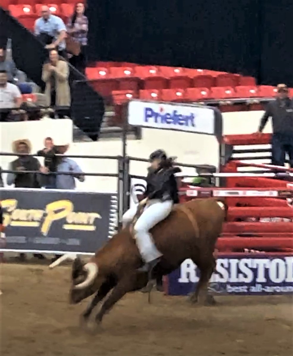 tcordervegas's tweet photo. Proud of @StephanieBernas from @FindlayToyota for 3 seconds on a real rodeo bull at @southpointlv. Atta girl Steph! https://t.co/gqjq7cDHrP