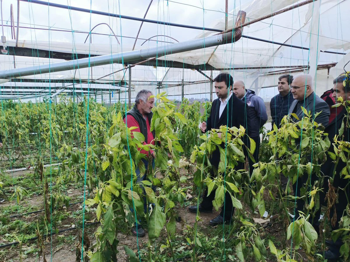 MKYK Üyemiz,Antalya Milletvekilimiz sn.Mustafa KÖSE, Tarım İl Müdürümüz, Tarım İlçe Müdürümüz ile birlikte Çandır ve Alacami mahallelerimizde kötü hava koşullarından dolayı zarar gören üreticilerimizi ziyaret ettik.
<a href="/avmustafakose/">Av. Mustafa KÖSE 🇹🇷</a> 
<a href="/ethemtas/">Av. İbrahim Ethem TAŞ 🇹🇷</a> 
<a href="/kemalcelik007/">Kemal ÇELİK</a> 
<a href="/enveraputkan/">Enver Aputkan</a>