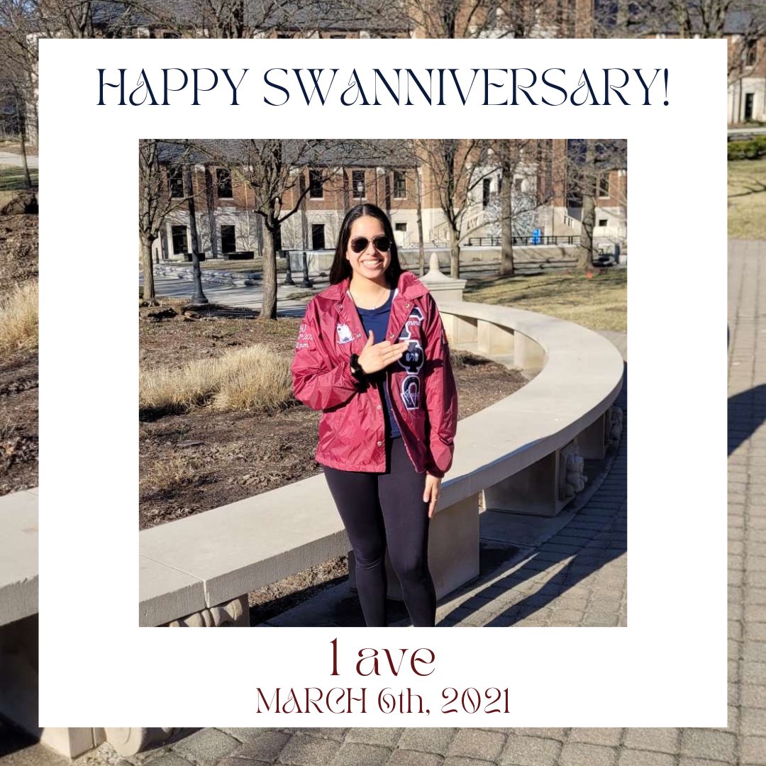 gphioindianasu's tweet photo. Happy 1st Swanniversary to our Alpha Line 1 ave! Thank you for everything you’ve done for our chapter ♥️ please remember to talk to Gallita nicely today 🦢 https://t.co/gsbgjIs0S7