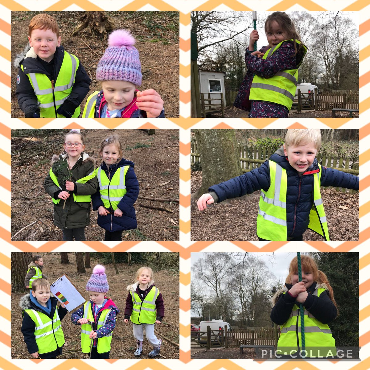 BarntonMissC's tweet photo. Year 1 are having great fun on their residential. They’ve had a great time exploring Delamere Forest! @BarntonMrsF @BarntonMrsL https://t.co/J6qVo2Ihcn