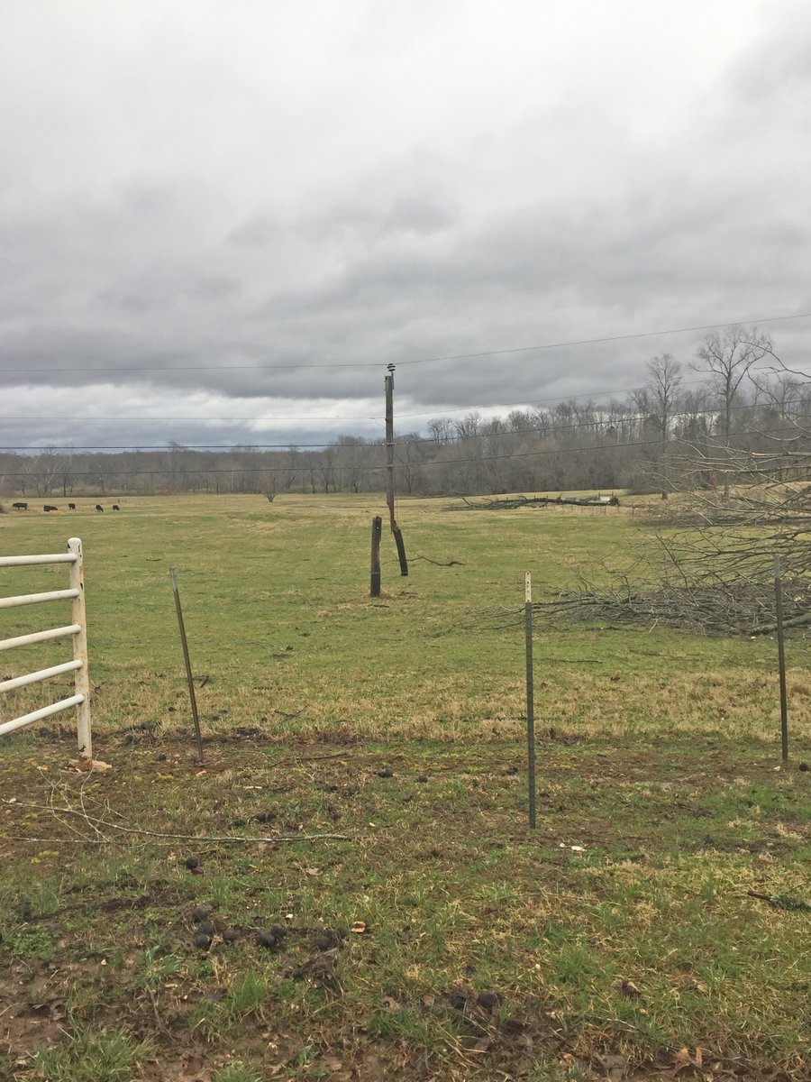 NorthARElectric's tweet photo. The area west of Evening Shade had five broken poles. Line personnel are finishing up replacing them and will have power back on today to all members whose homes still can accept it. https://t.co/34RD0QhdAN