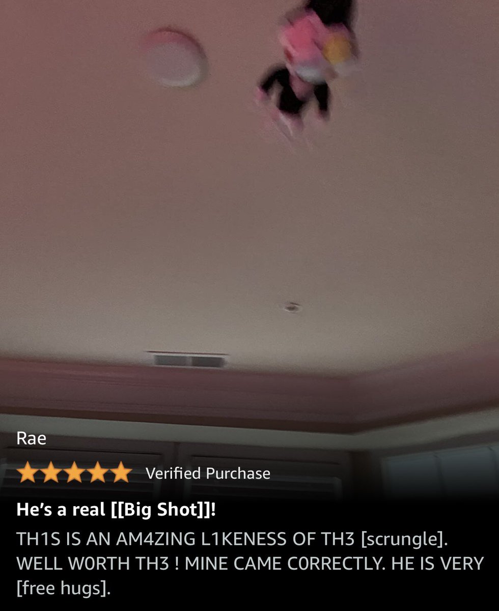 paintedhen's tweet photo. please look at the reviews on this bootleg spamton plush https://t.co/jzaG9XNnGy