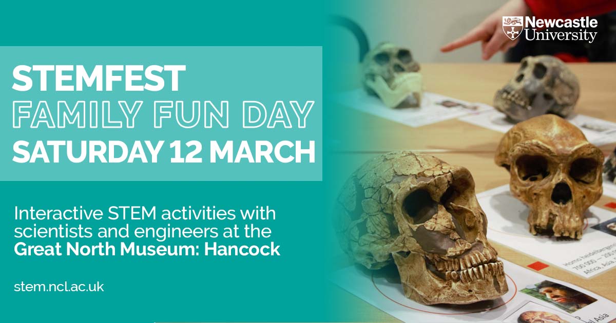 Newcastle University STEM Outreach (@stemnewcastle) on Twitter photo Come join us at <a href="/GNM_Hancock/">Great North Museum: Hancock</a> this Saturday for our STEM Family Fun Day. We have lots of interactive activities lined up including a chance to meet your ancient ancestors! 💀More info: stem.ncl.ac.uk/event/stem-fam…
<a href="/StudentsNCL/">Newcastle University</a> <a href="/SciencesNCL/">Sciences at Newcastle</a> Come join us at <a href="/GNM_Hancock/">Great North Museum: Hancock</a> this Saturday for our STEM Family Fun Day. We have lots of interactive activities lined up including a chance to meet your ancient ancestors! 💀More info: stem.ncl.ac.uk/event/stem-fam…
<a href="/StudentsNCL/">Newcastle University</a> <a href="/SciencesNCL/">Sciences at Newcastle</a>