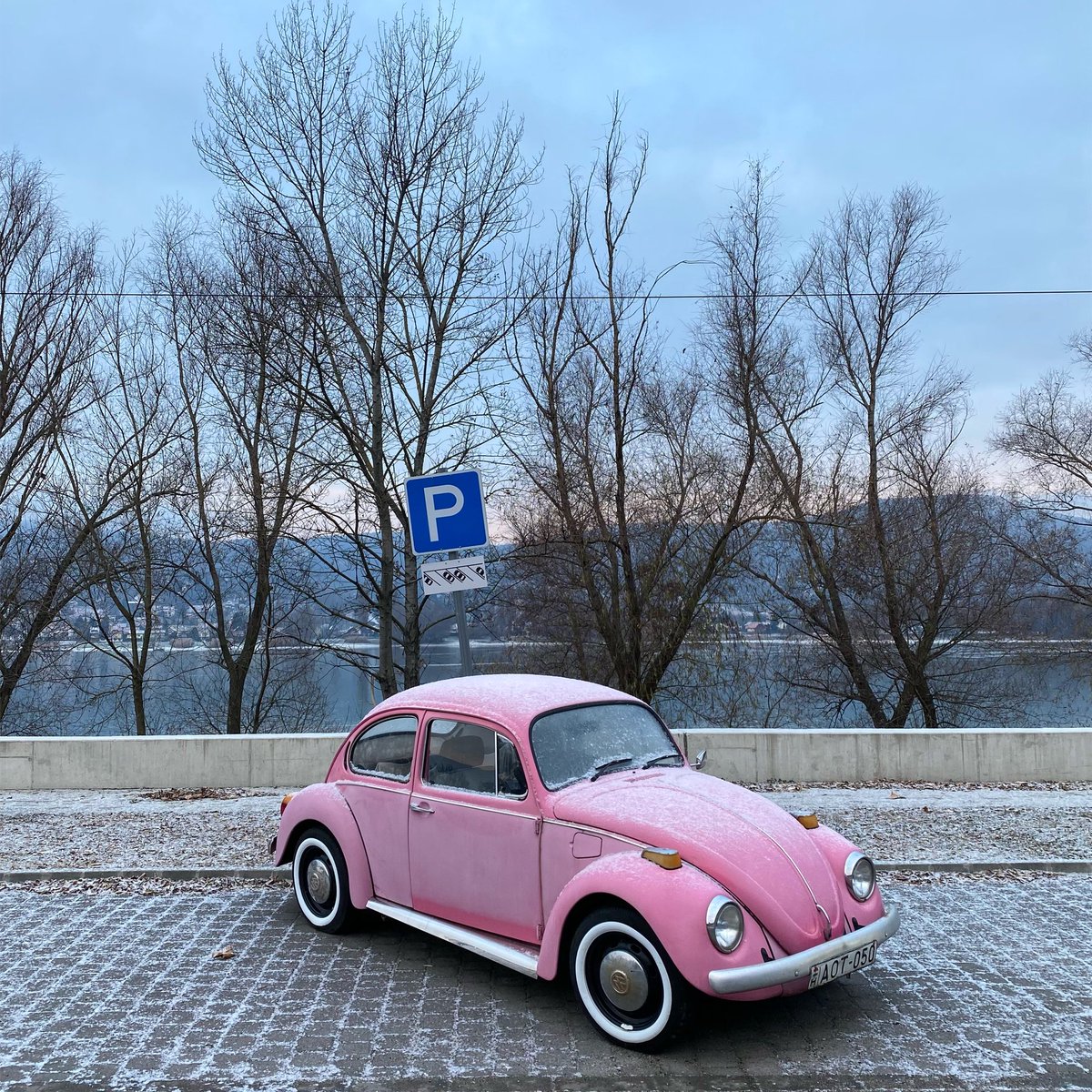 DeadCarWalking's tweet photo. Pink snow

Volkswagen Beetle (1976) spotted in Visegrád/Hungary.
#Beetle #Käfer #Fusca #PinkSnow
@GeorgeCochrane1 @addict_car @Rockstarscars @YesterdaysDrive @ChodSpot https://t.co/ySLrlGwf9m