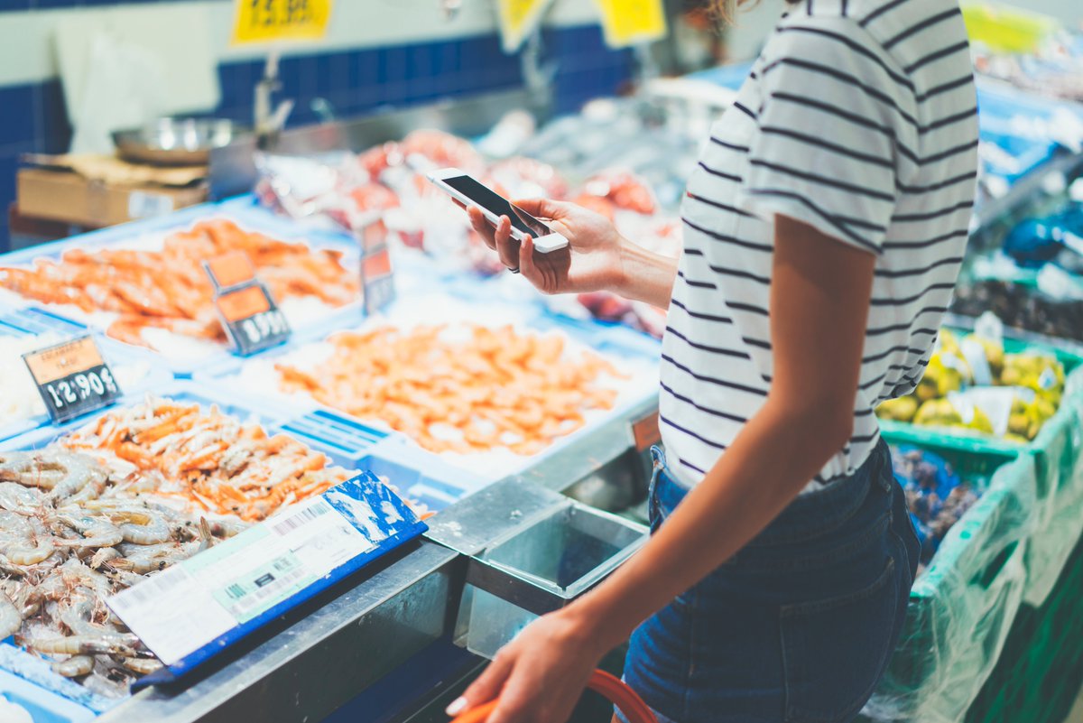 Postelsia tweet media