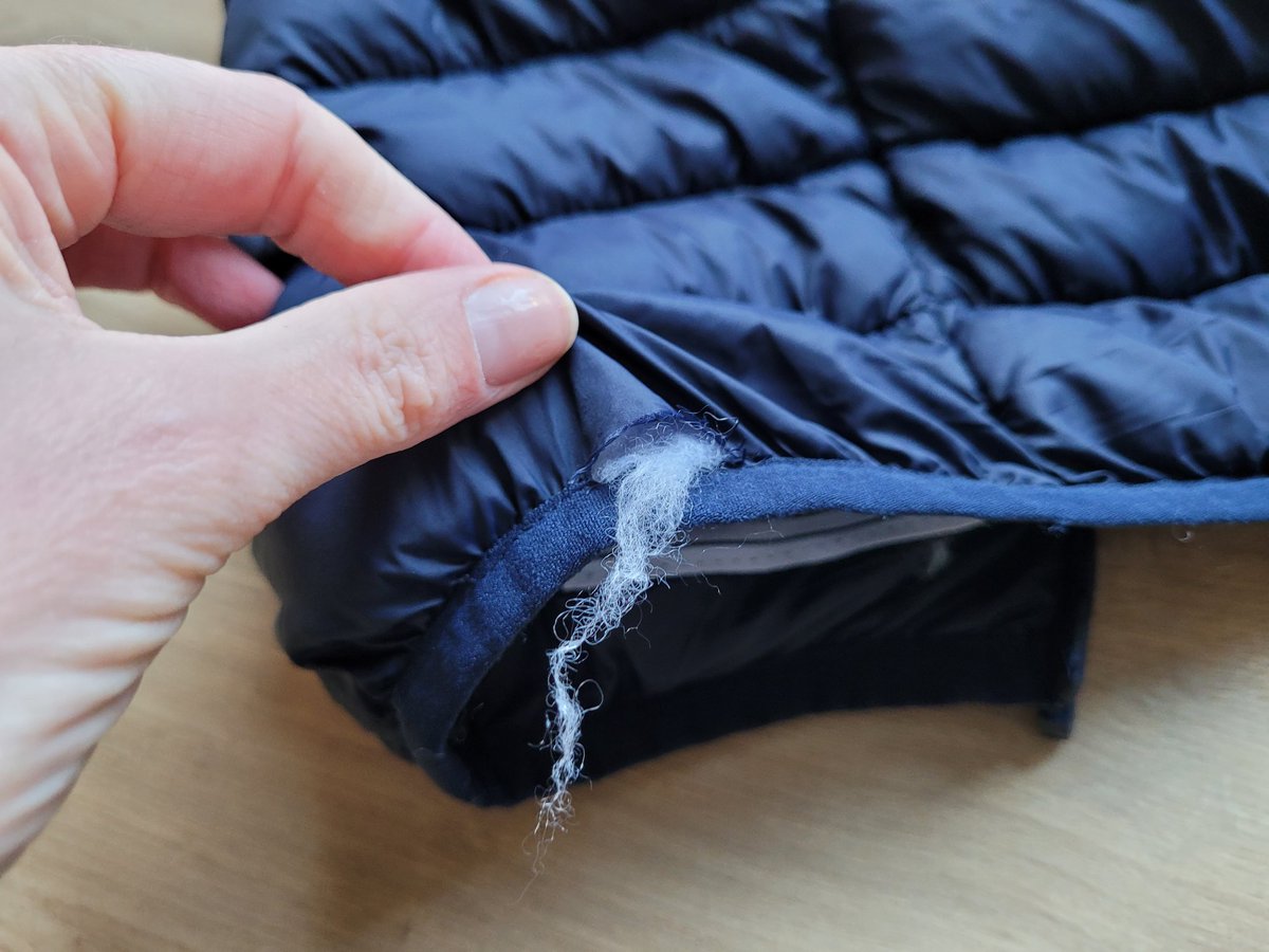 Chopsychops tweet media