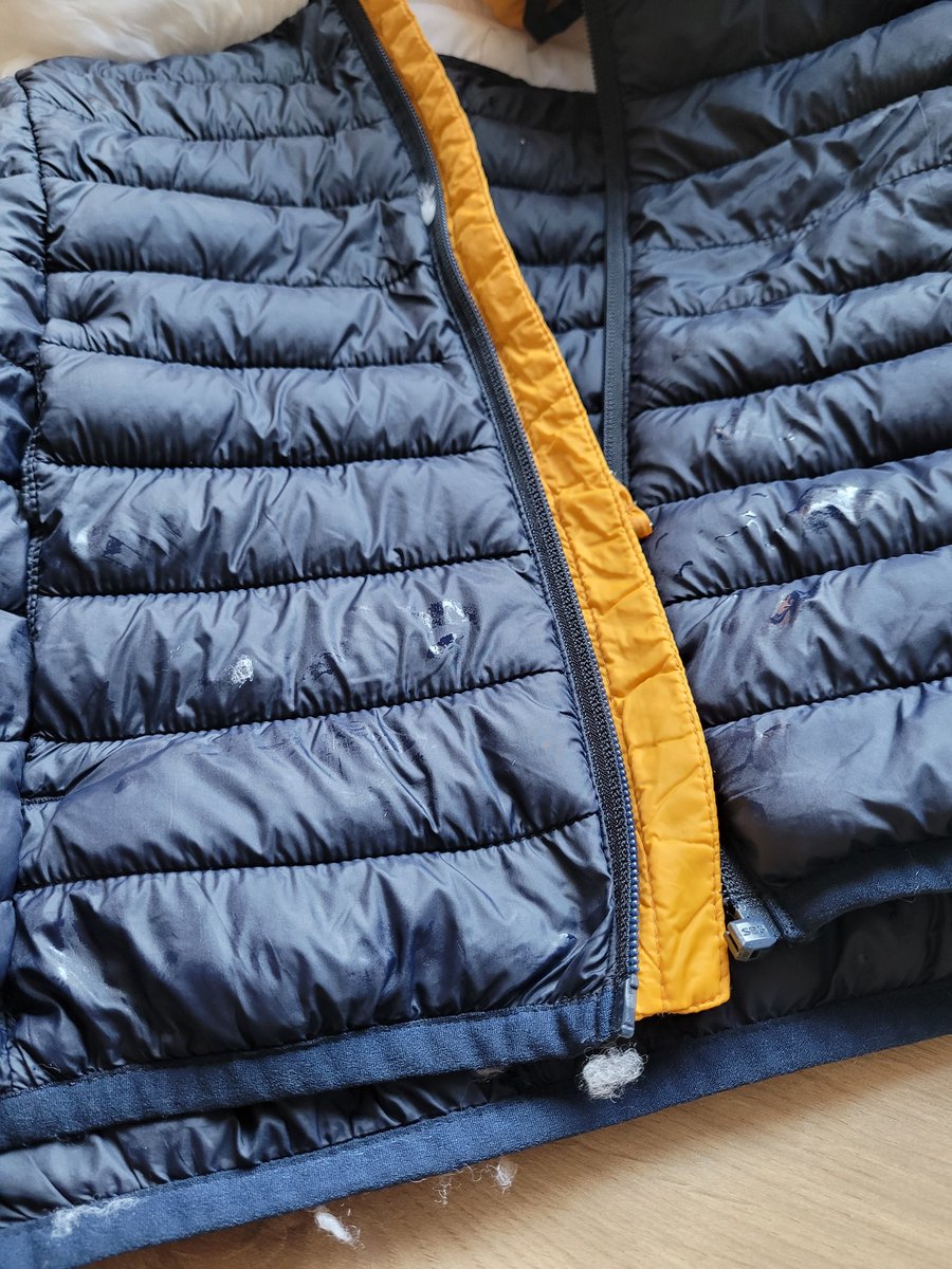 Chopsychops tweet media