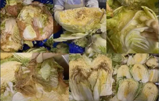 cultureCHN's tweet photo. 使用腐烂发霉原料腌泡菜，韩国“泡菜1号大师”被取消称号
韩国“泡菜1号大师”、韩星食品社长金顺子因被爆其泡菜工厂使用严重腐烂发霉的原料制作泡菜而被取消食品大师称号
#泡菜 #韩国 #传承 https://t.co/GtdV351GSJ https://t.co/Spwolt3knd