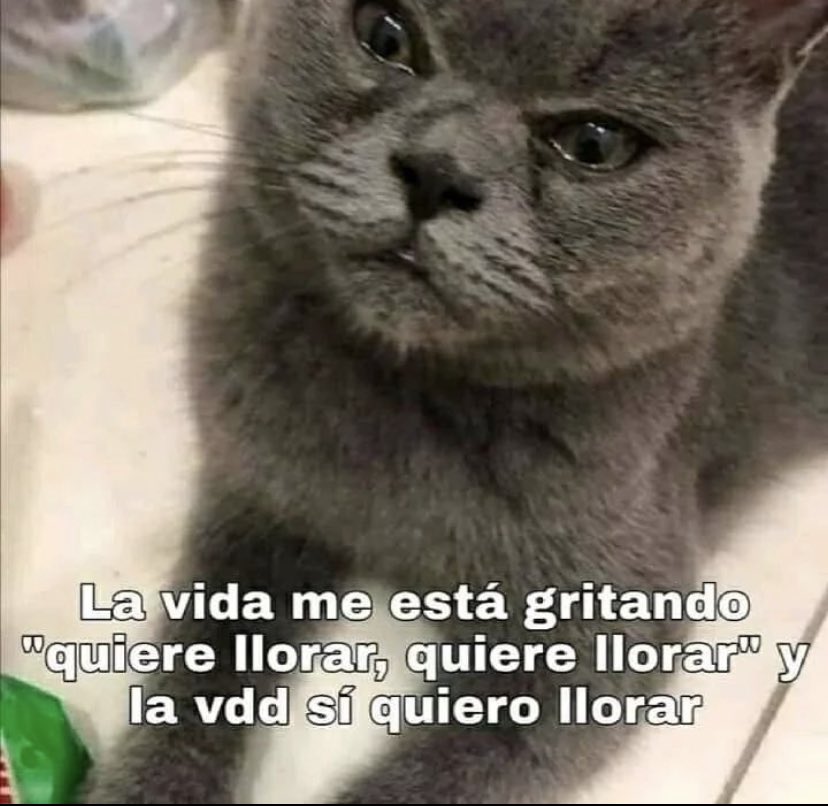 Jsjsj sisoi