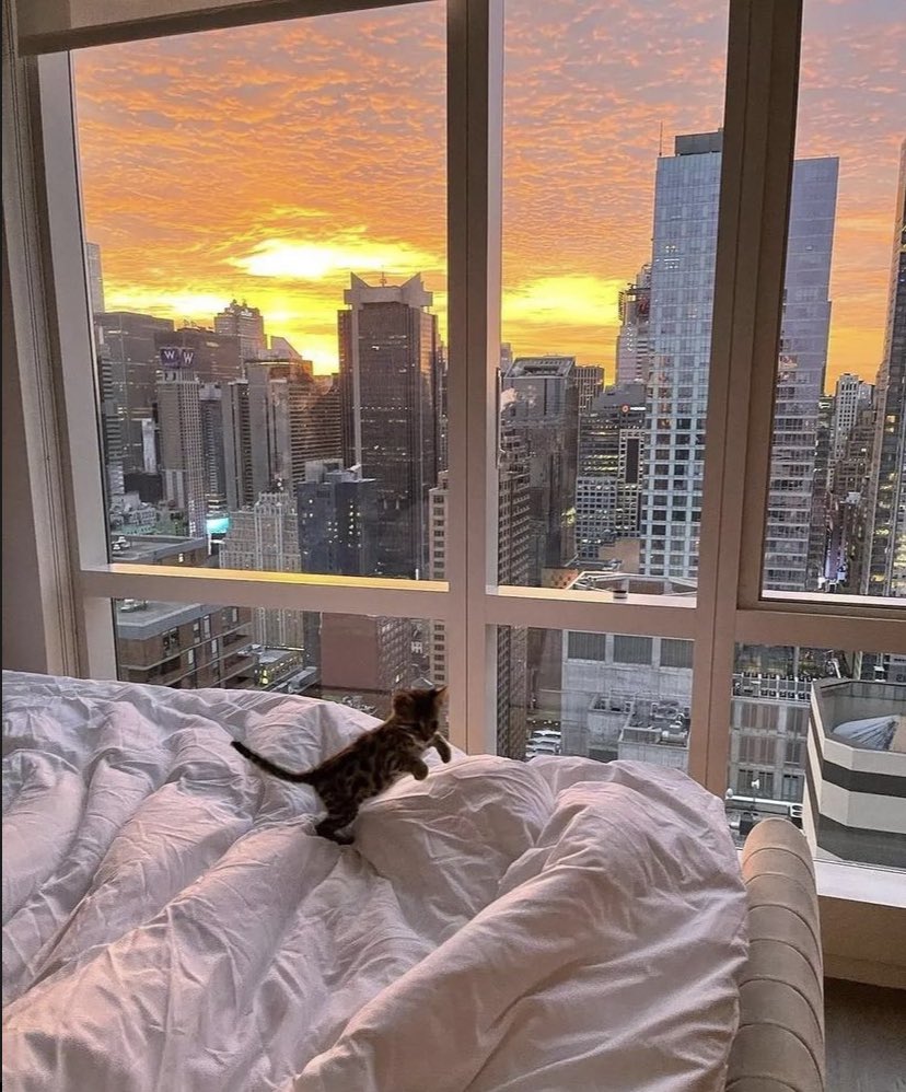 W0rld2026's tweet photo. New York https://t.co/6vgaLKKSFT