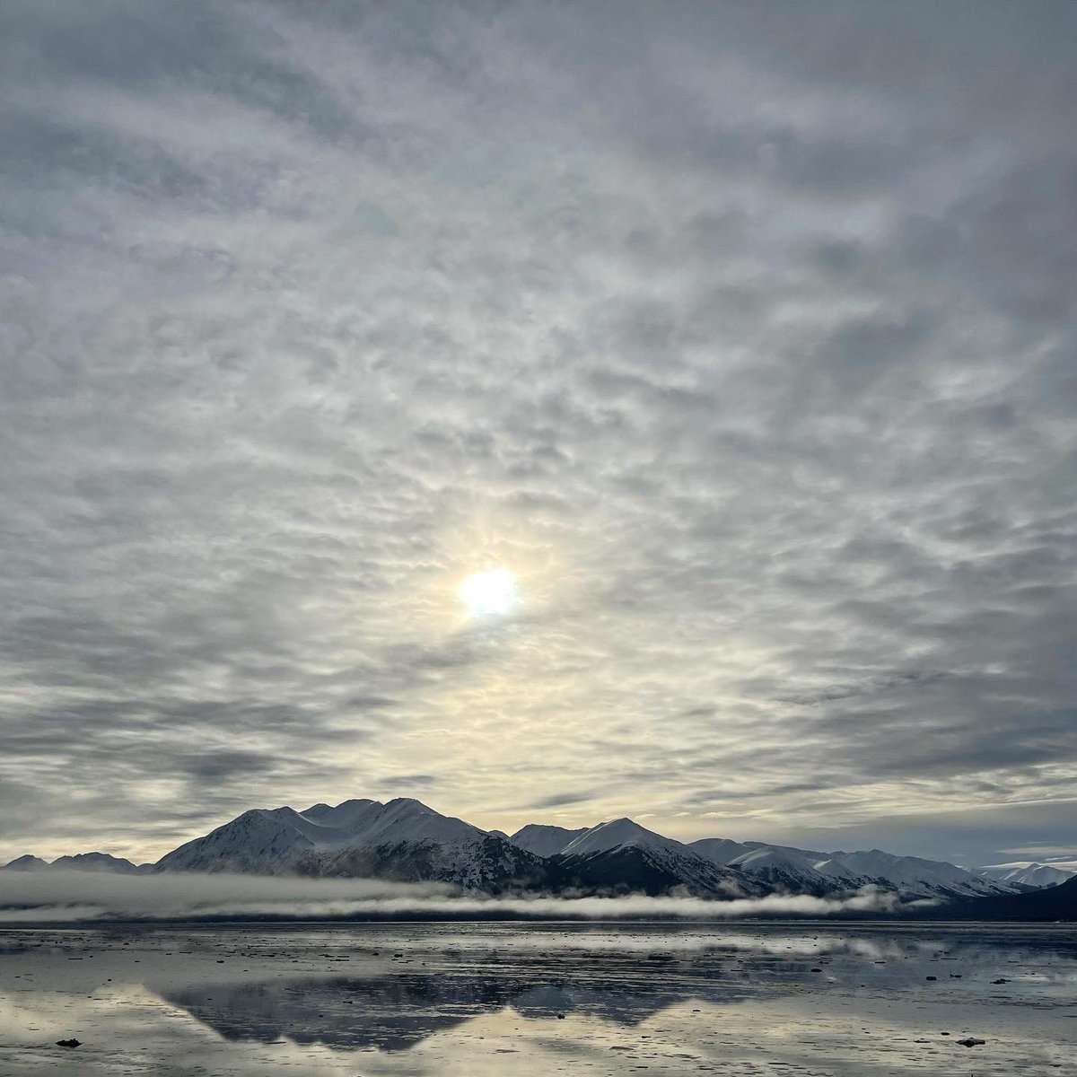 bwheeler_'s tweet photo. @edsbs Unless you need the protection of whoever in the Dutton family is currently Livestock Commissioner, Alaska is better than Montana. This is Beluga Point, just 25 minutes south of downtown Anchorage in February, when the sun goes down near 6 pm. Cheaper to fly to than Montana too. https://t.co/uIK8QqBwKu