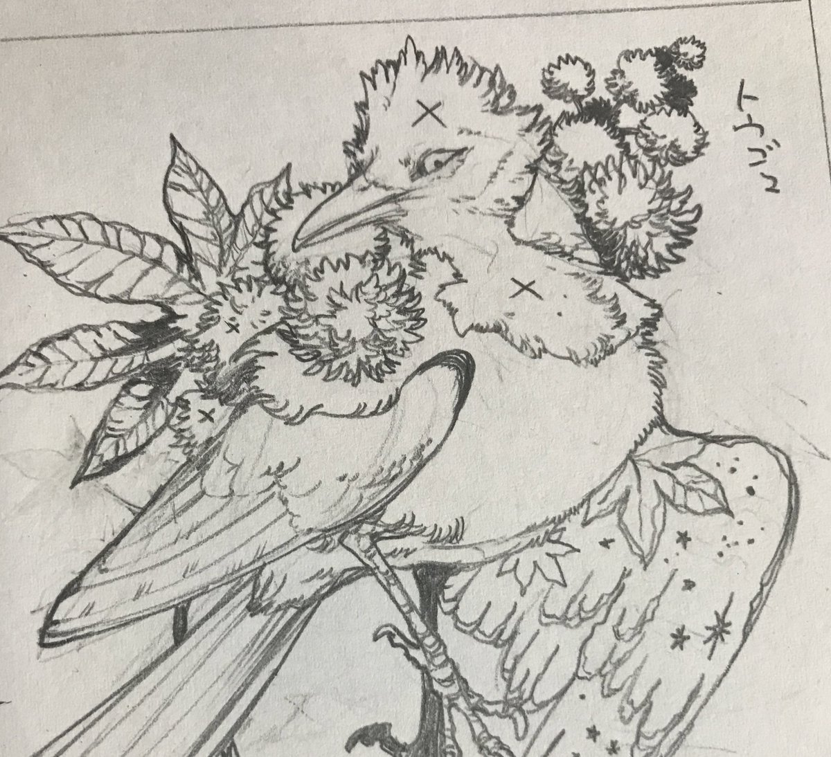 下絵です  ズグロモリモズでした🕊
ふわふわの羽毛がかわいいね! 