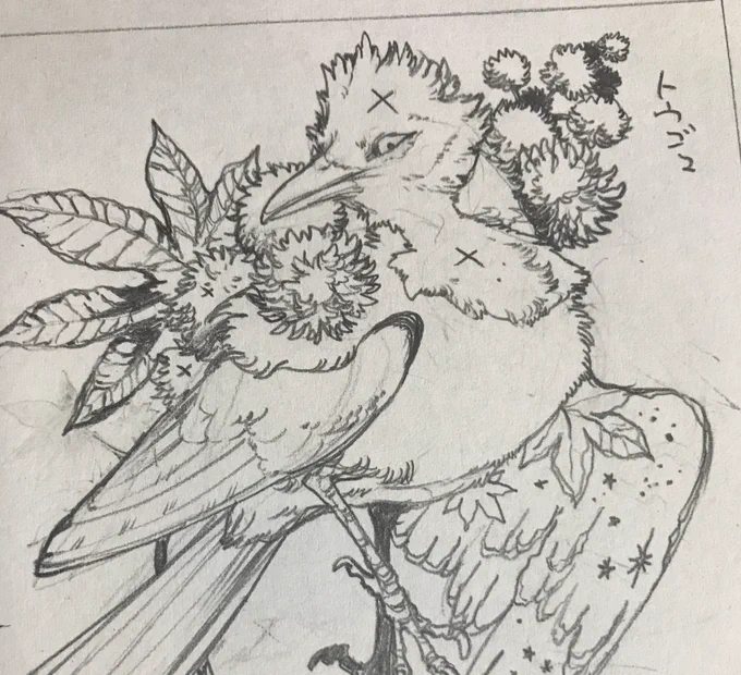 下絵です  ズグロモリモズでした🕊
ふわふわの羽毛がかわいいね! 